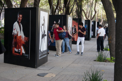 Exposicion Fotografica en la Avenida de la Reforma