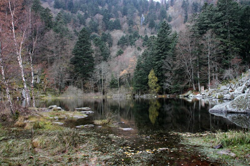 Le lac du Fischbodl