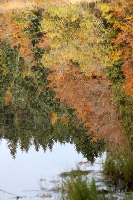 Reflets -  Autumn reflections