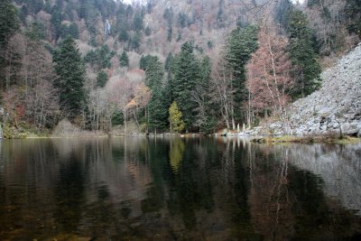 Le lac du Fischbodlé