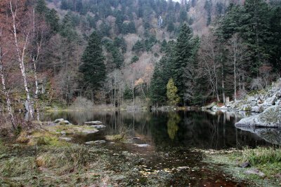 Le lac du Fischbodlé