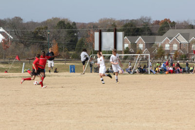 IMG_6128.jpg