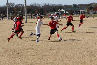 IMG_6229.jpg