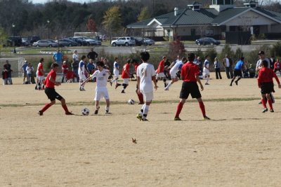 IMG_6236.jpg