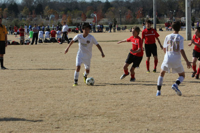 IMG_6256.jpg