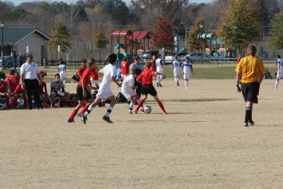 IMG_6264.jpg