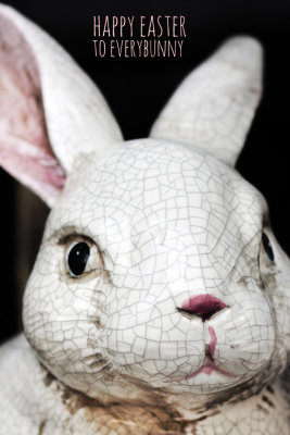 Everybunny