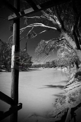 Darling River (BW_100_3371)