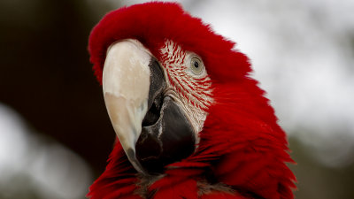 IMG_9561.jpg