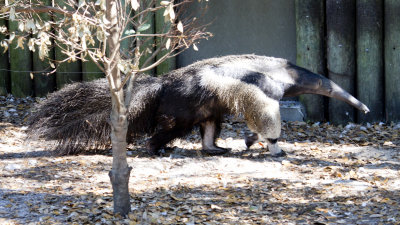 IMG_5822.jpg