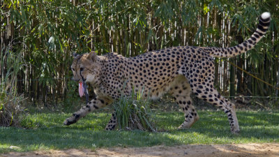 IMG_4441.jpg