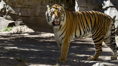 IMG_8294.jpg