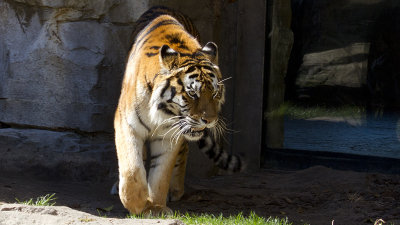 IMG_8332.jpg