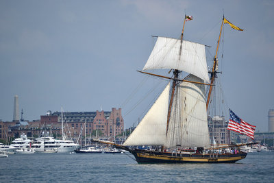 DSC_0418g.jpg