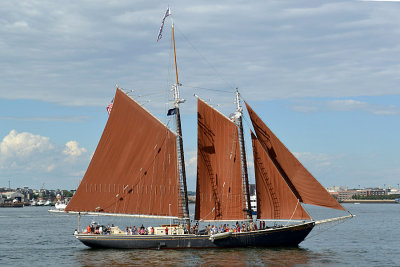 DSC_0036e.jpg