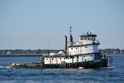 DSC_0034a.jpg