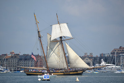DSC_0384f.jpg