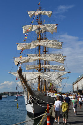 DSC_0081e.jpg