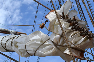 DSC_0123a.jpg