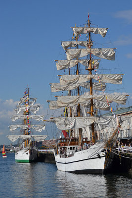 DSC_0146e.jpg