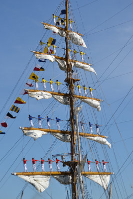 DSC_0474a.jpg