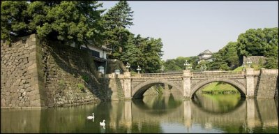 Palace Bridge