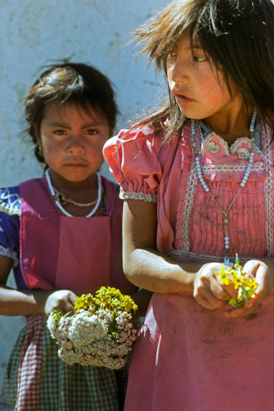 Flower Girls