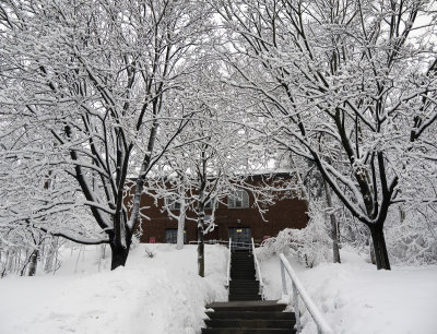 Pathway to Work