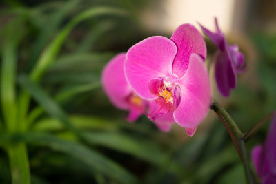 20121222-DSC00166.jpg