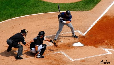 Punto Bats 01.jpg