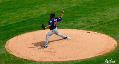 Silva Pitches 06.jpg