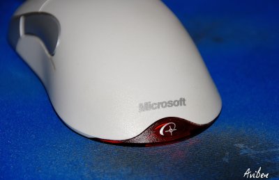 Mouse on Old Blue Pad.jpg
