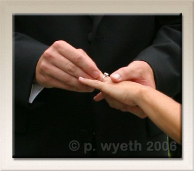 The Wedding