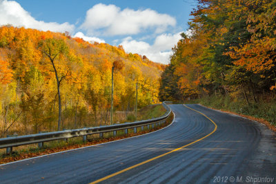 Forks Of Credit Road