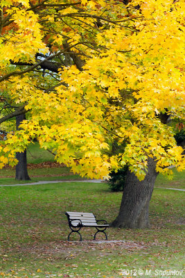 High Park Benches.