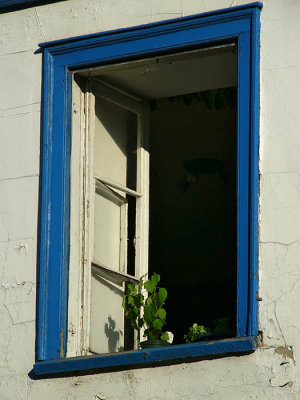Windows of Vieux Quebec #5
