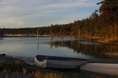 DSC_4110La Conner.jpg