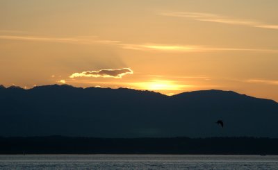 Sunset at Port of Seattle, WA