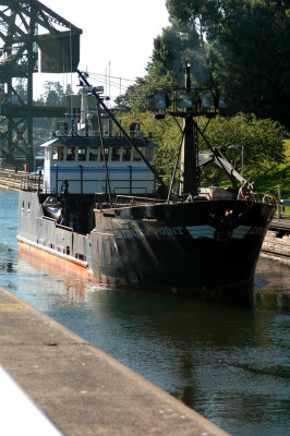 Hiram Chittenden Locks, Seattle
