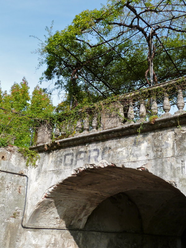 Arch and Arbor