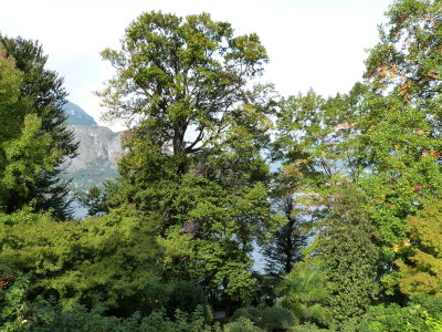 Grounds at Hotel Villa Serbelloni