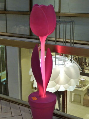 Tulip in Mall