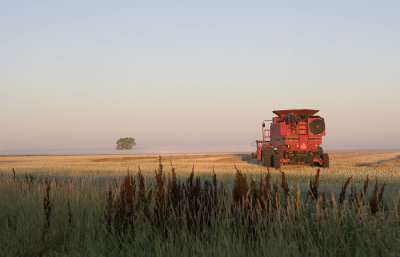 Harvest