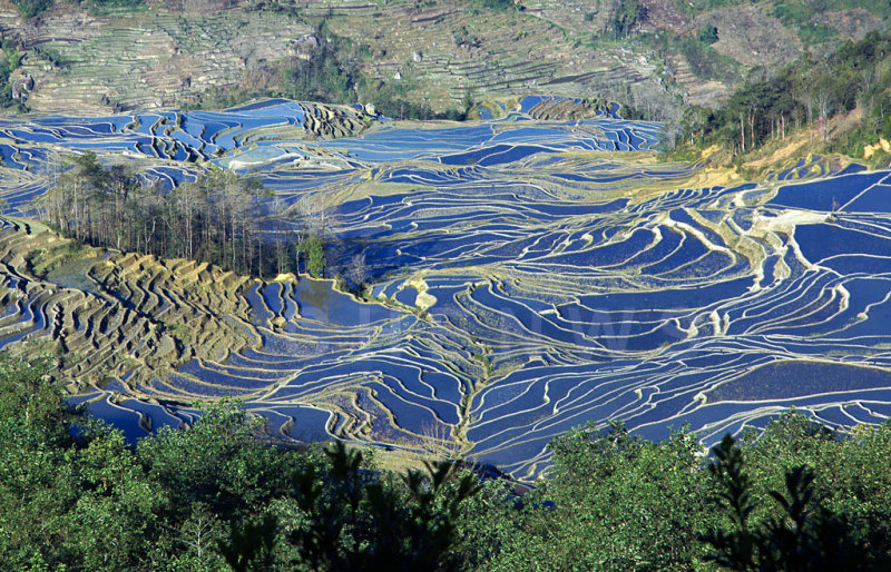 Terraced rice fields, AiChun village