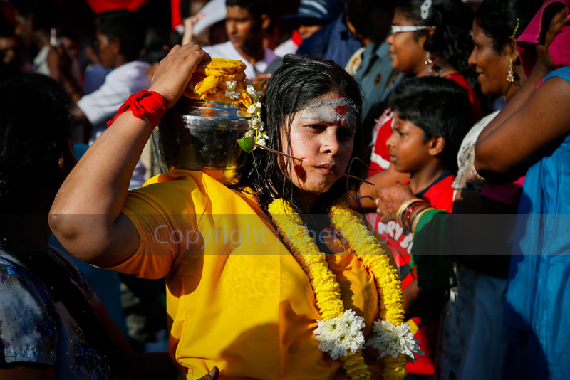 A devotee with cheeks pierced carry a milk pot in the procession