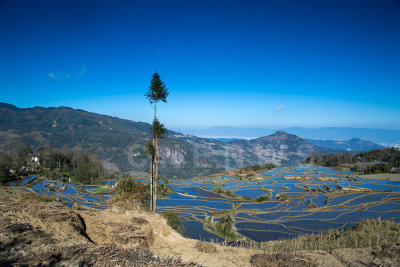 Terraced rice fields, AiChun village