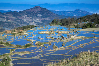 Terraced rice fields, AiChun village