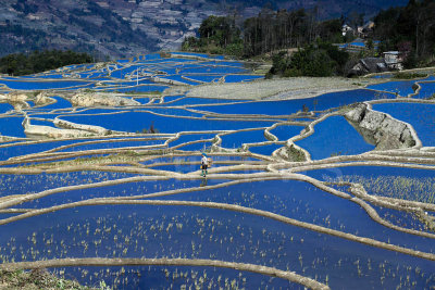 Terraced rice fields, AiChun village