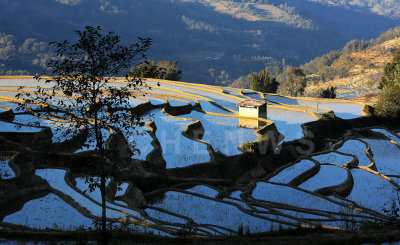 Terraced rice fields, QuanFuZhuang village