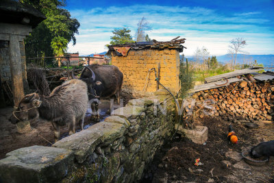 Village scene, QingKou